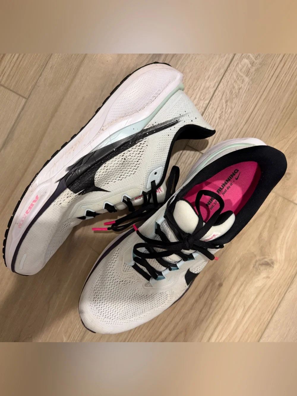 Nike men pegasus
